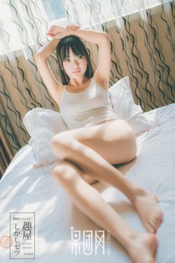 风流的女管家电影dvd